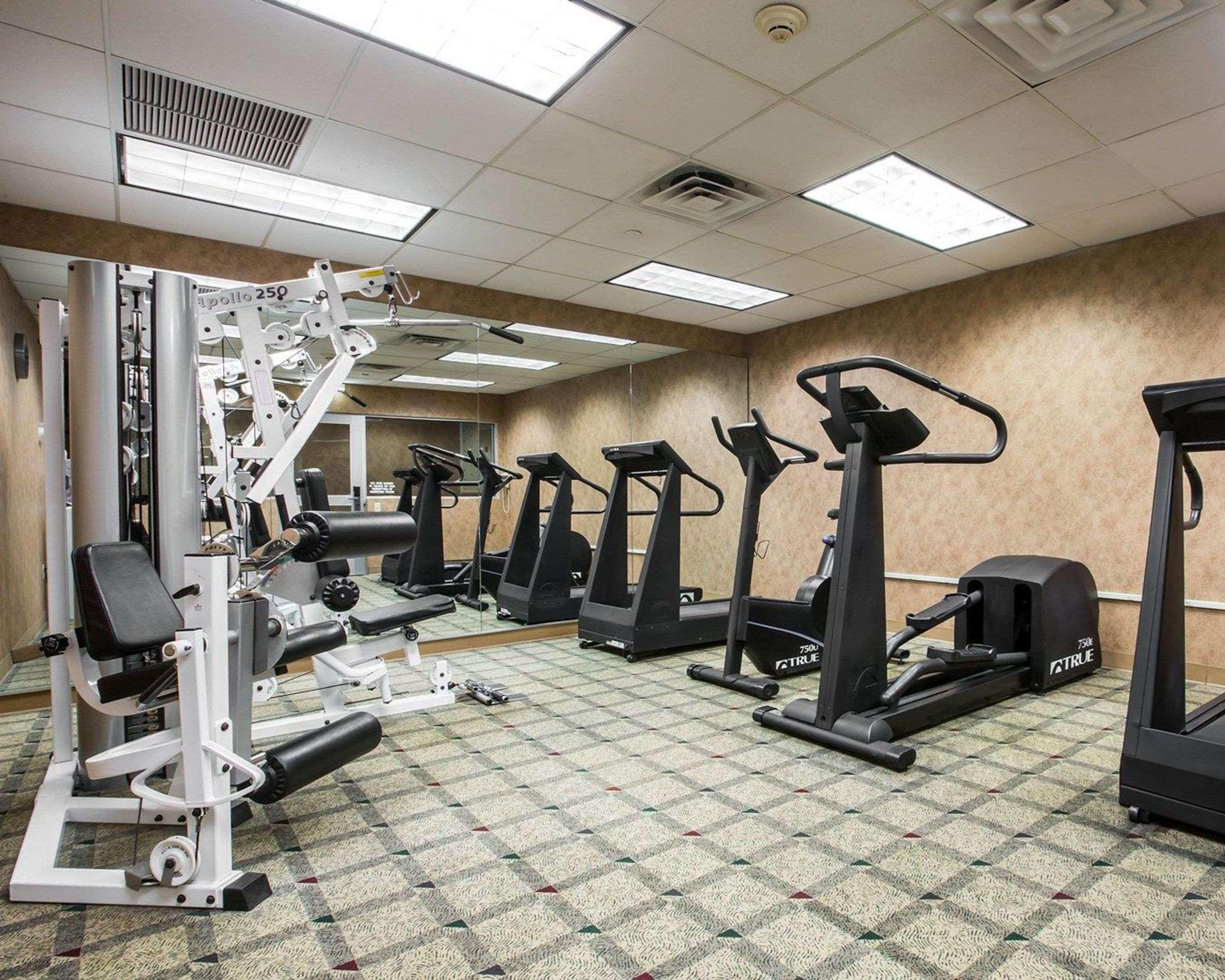 Express & - Elmsford North By Ihg Hotel 3*
